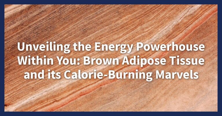 Unveiling the Energy Powerhouse Within You: Brown Adipose Tissue and its Calorie-Burning Marvels