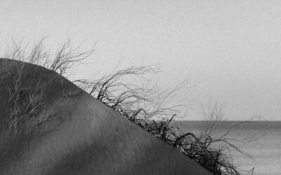 a black and white photo of a person on a skateboard