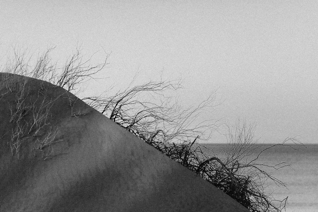 a black and white photo of a person on a skateboard