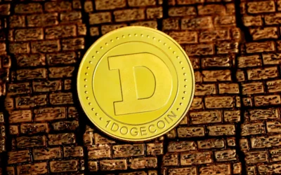 white and blue round plate