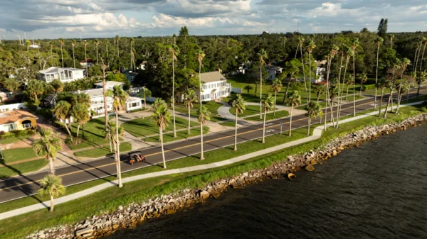 An aerial view of a street lined with palm trees