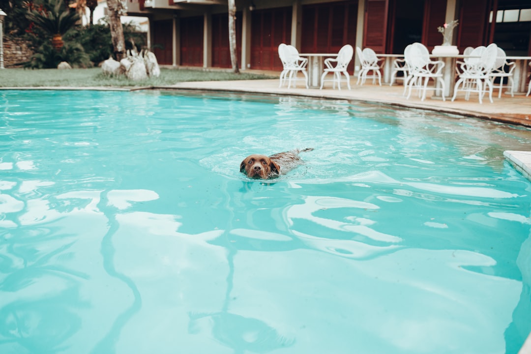 woman in swimming pool during daytime