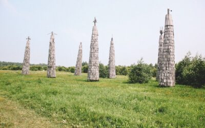 green grass field with trees
