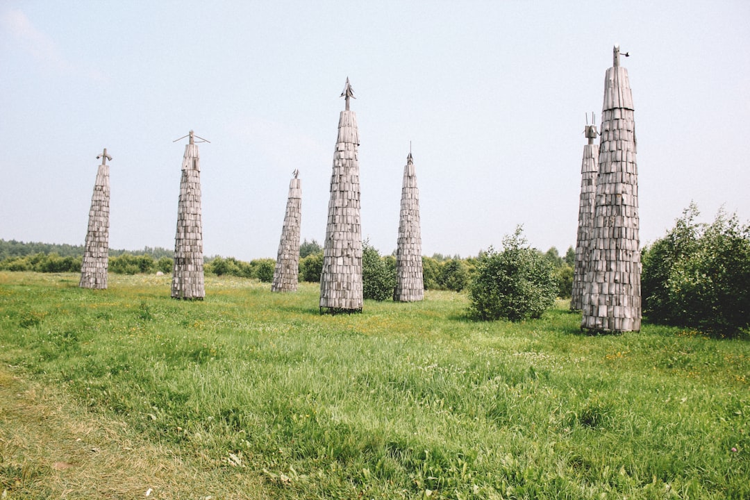 green grass field with trees