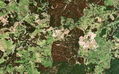 an abstract painting of green and brown colors