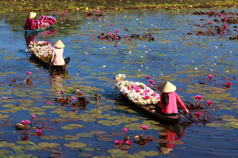 Women navigates canoe through lotus flower-filled lake, creating tranquil and scenic view.
