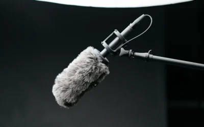 gray microphone with filter