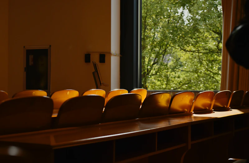 Empty classroom seats overlook a tree.