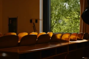 Empty classroom seats overlook a tree.