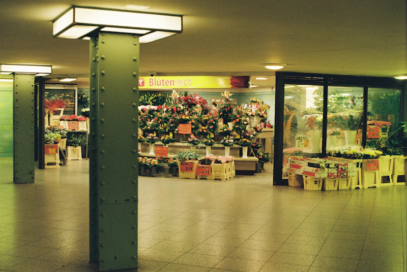 A flower shop with many plants and flowers
