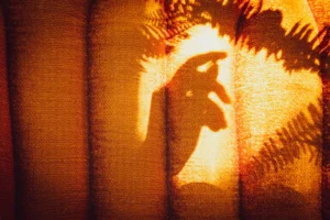 brown and black floral textile