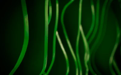 Abstract green strands against dark background