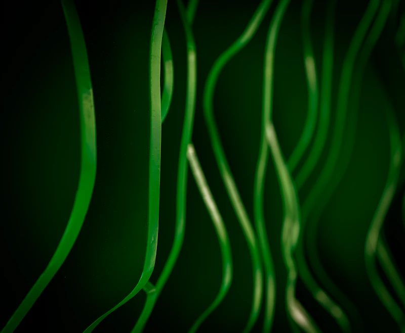 Abstract green strands against dark background