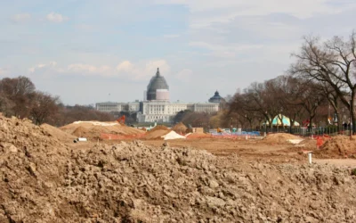 white and brown concrete building near trees during daytime