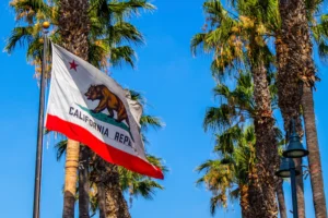 a flag flying in the air next to palm trees