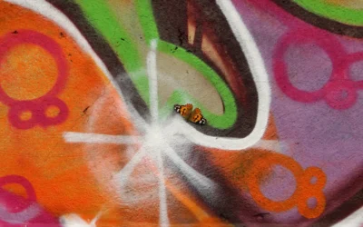 orange and black butterfly