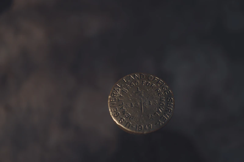 a close up of a coin on a table