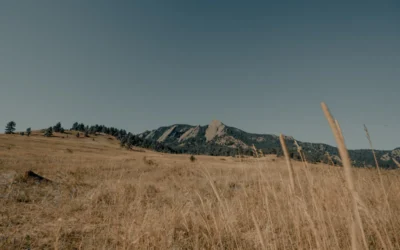 brown grass field near mountain under blue sky during daytime