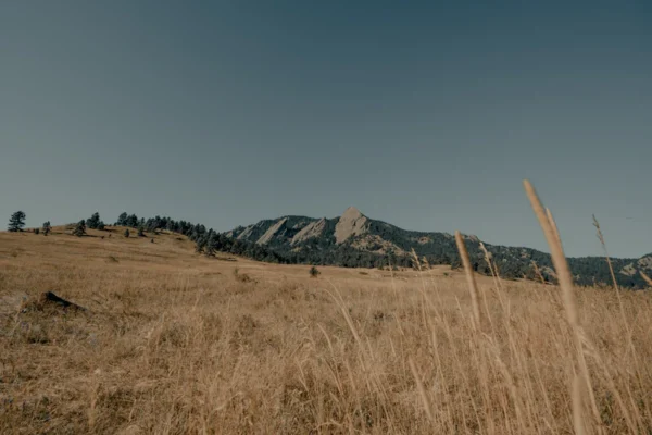 brown grass field near mountain under blue sky during daytime