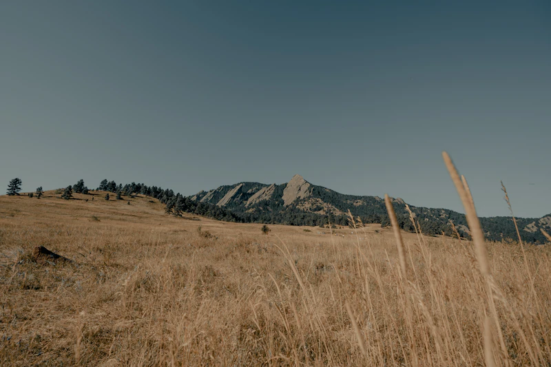 brown grass field near mountain under blue sky during daytime