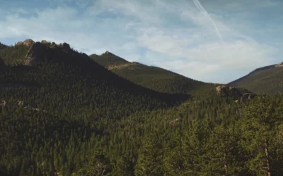 a landscape with trees and hills