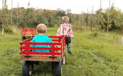 boy riding on a wagon being pulled by another boy