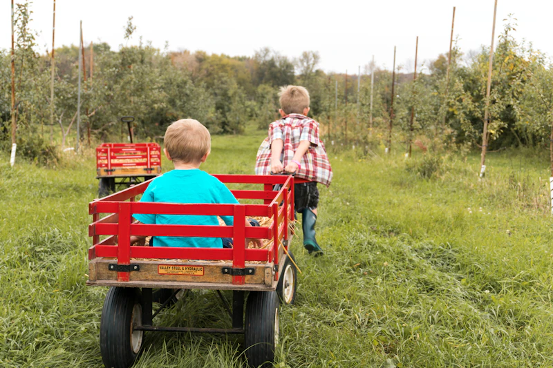 boy riding on a wagon being pulled by another boy