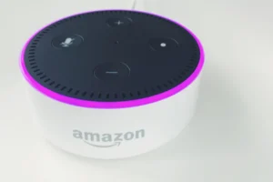 white and black Amazon Echo Dot 2