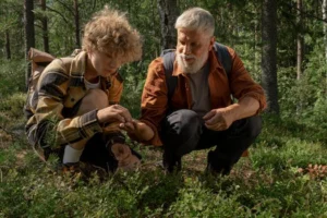 A grandfather and grandson picking berries in a forest during summer.
