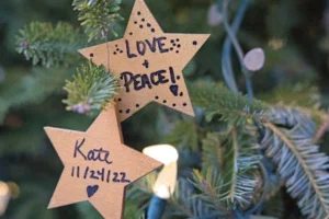 Close-up of star ornaments with messages hanging on a Christmas tree in Toronto.