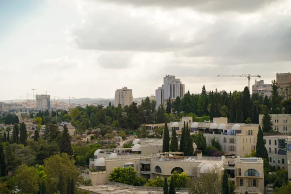 Cityscape with buildings and cypress trees under cloudy sky