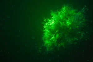 A vivid underwater green explosion creating a stunning abstract visual effect.