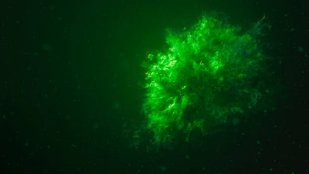 A vivid underwater green explosion creating a stunning abstract visual effect.