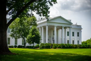 The White House framed by trees and greenery, in Washington, D.C., under a bright sky.