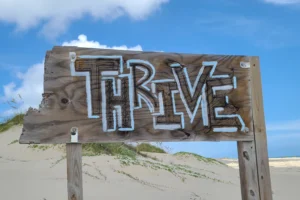 a wooden sign on a beach with the word brave written on it