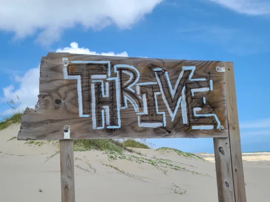 a wooden sign on a beach with the word brave written on it