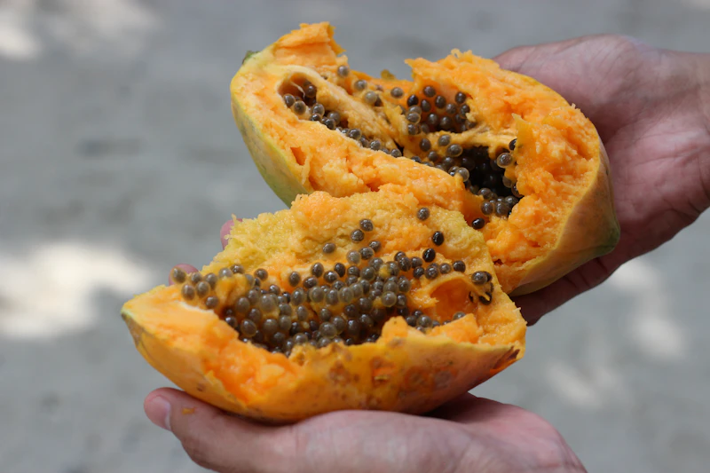 person holding yellow and black fruit