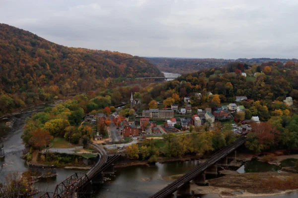 an aerial view of a town surrounded by trees