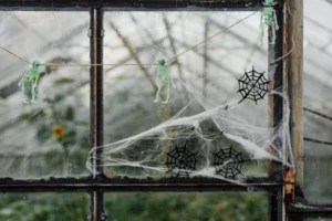 Halloween-themed window decoration with skeletons and spiderwebs in a greenhouse setting.